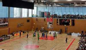 match des lion en 01 2024